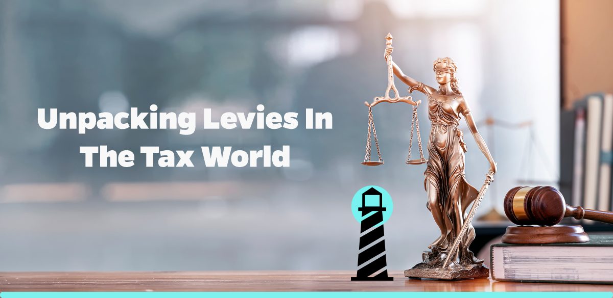 Unpacking Levies in the Tax World